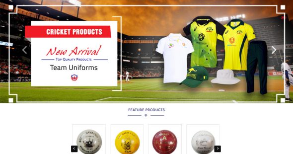 Manufacturers and Suppliers of Custom made Cricket Products, Cricket Balls and Sportswear in Sialkot. Pakistan.
